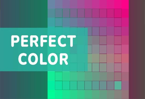 Perfect Color PC Steam CD Key screenshot 1
