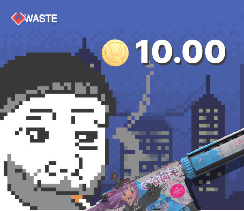 

Skinwaste 10 Coins Gift Card