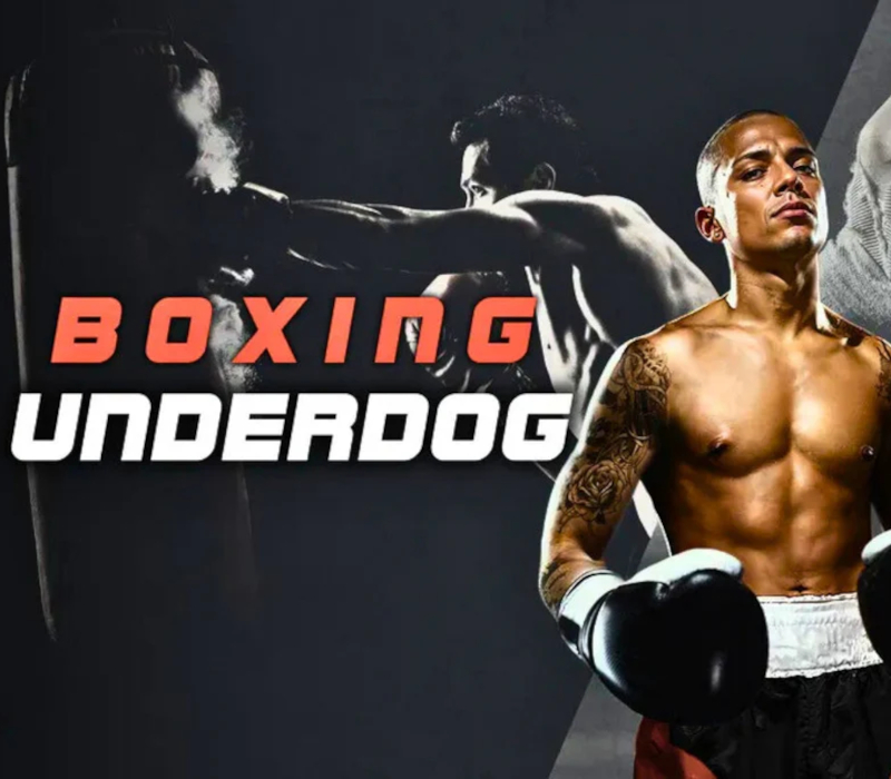

Boxing Underdog Meta Quest Gift