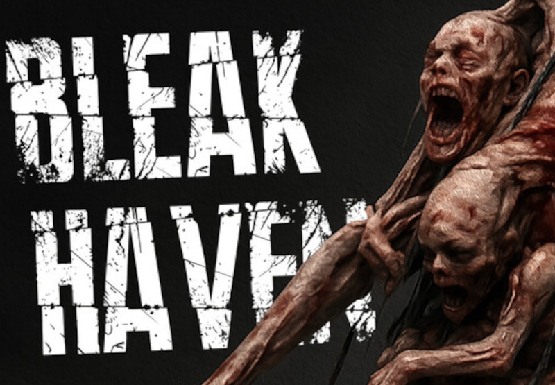 Bleak Haven PC Steam CD Key