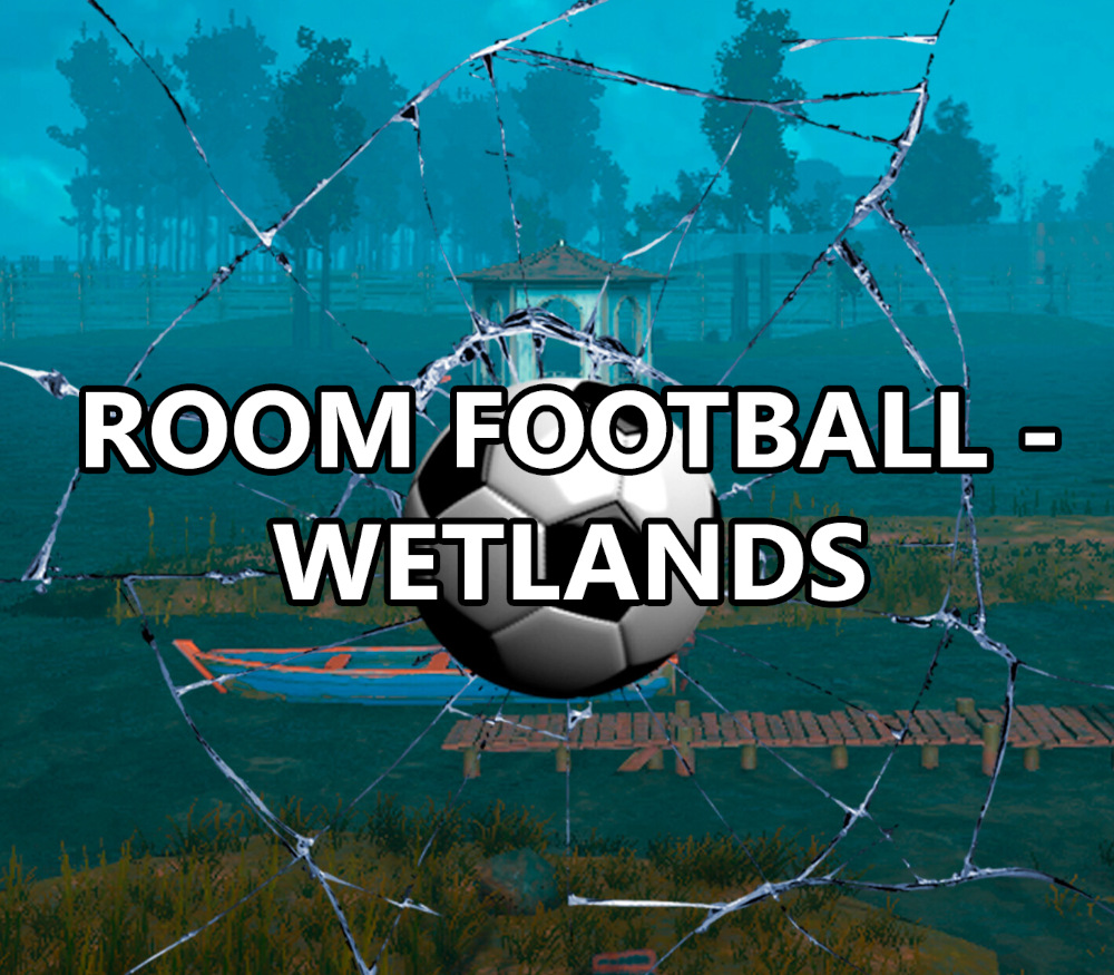 ROOM FOOTBALL: Wetlands PC Steam CD Key