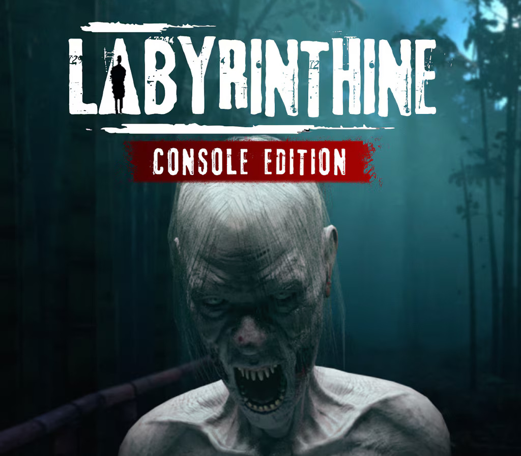 

Labyrinthine Console Edition EU PS5 CD Key