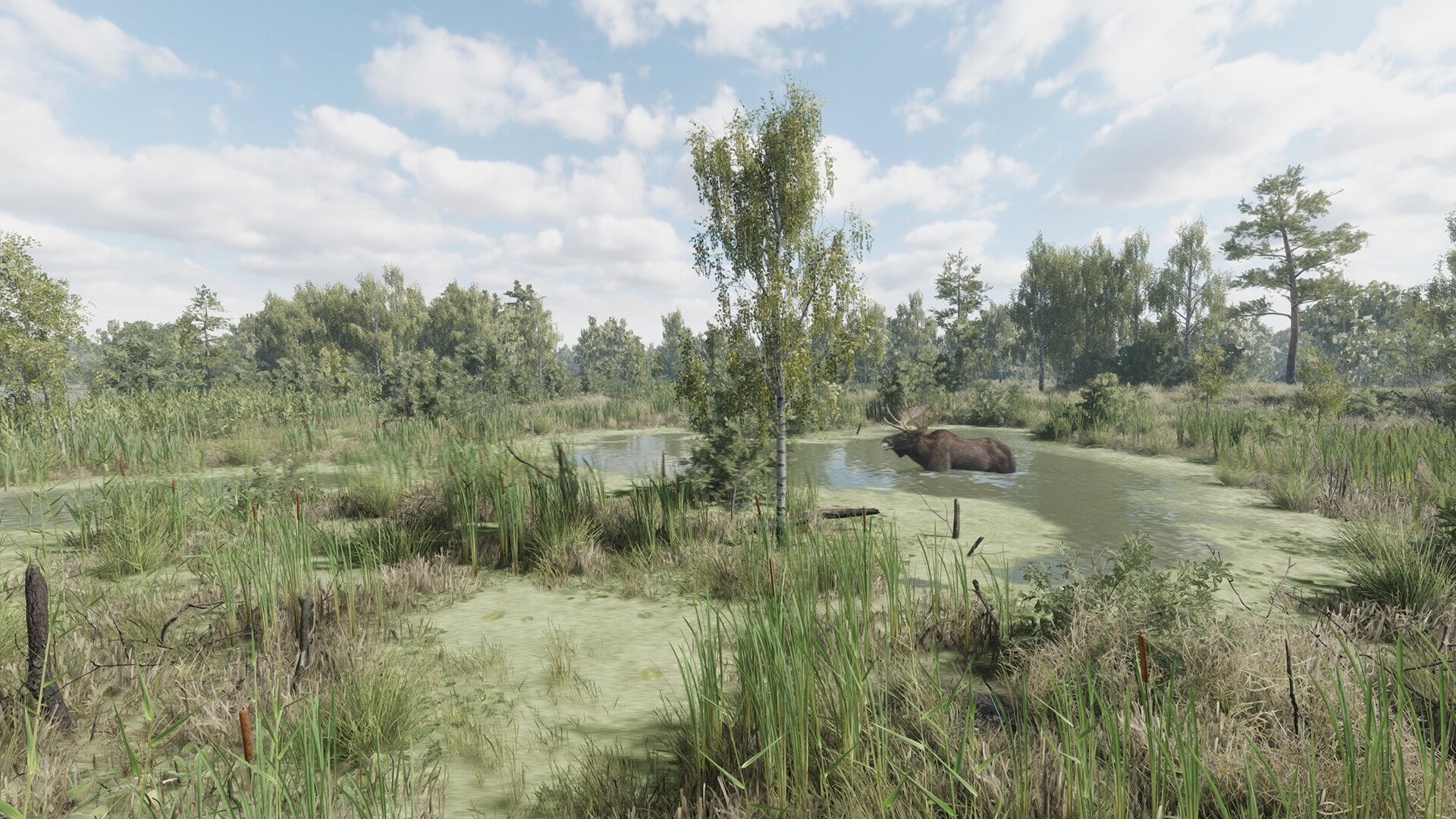 On the Hunt PC Steam CD Key