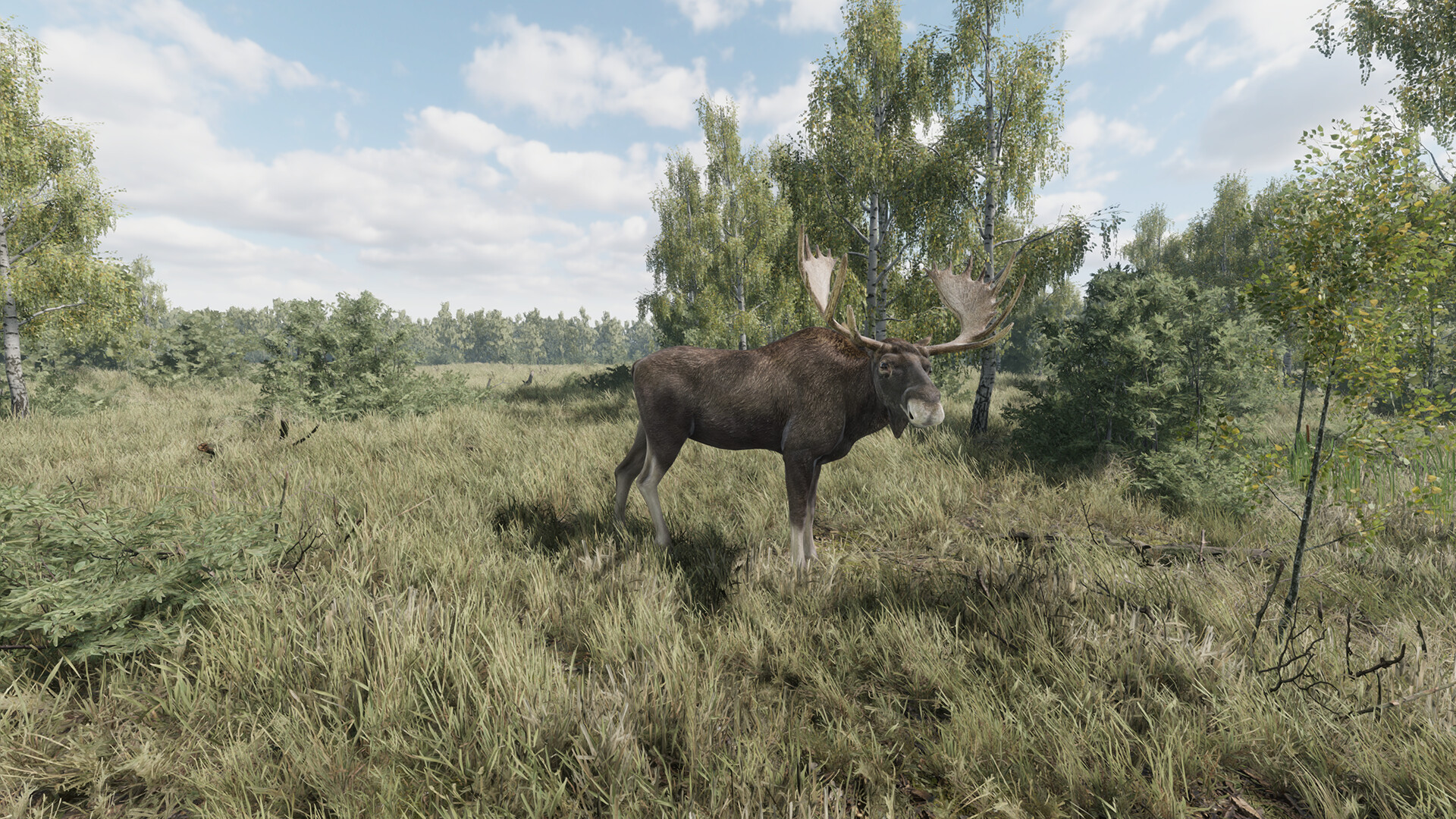 On the Hunt PC Steam CD Key