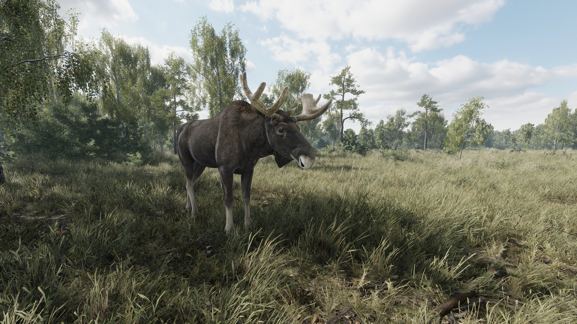 On the Hunt PC Steam CD Key