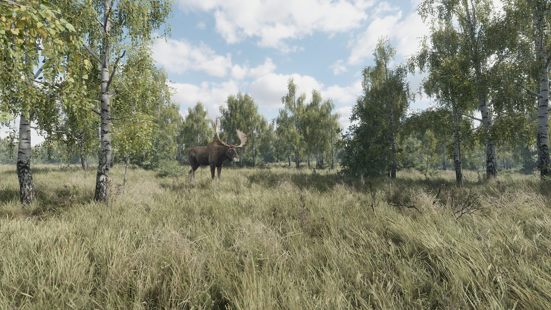 On the Hunt PC Steam CD Key