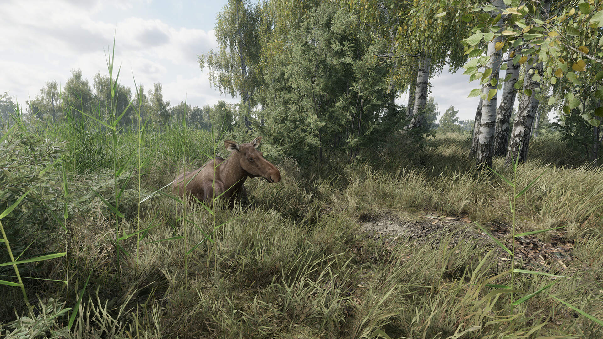 On the Hunt PC Steam CD Key