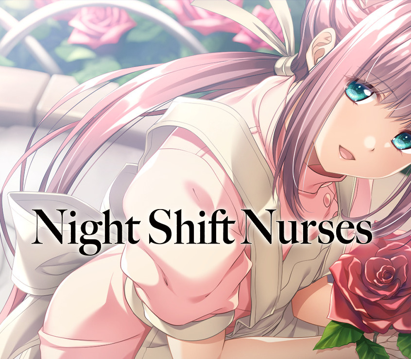 Night Shift Nurses PC Steam CD Key