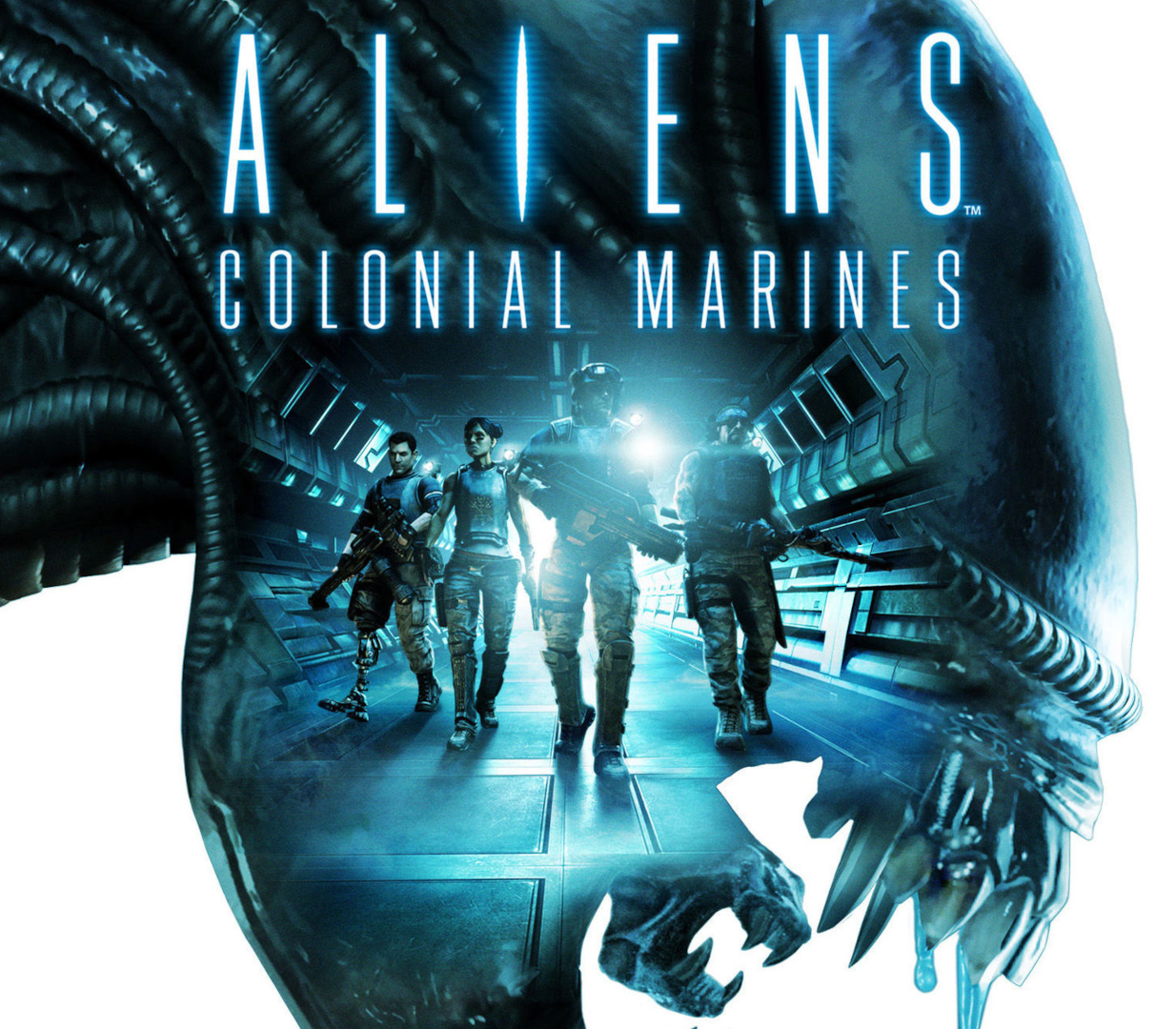 

Aliens: Colonial Marines EU PC Steam CD Key