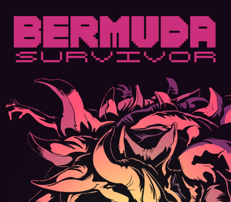 

Bermuda Survivor PC Steam CD Key