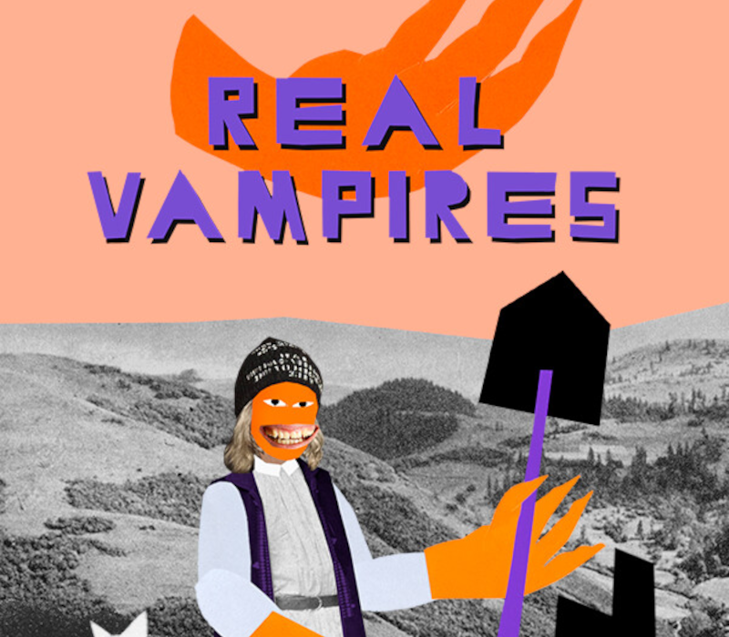 

Real Vampires PC Steam CD Key