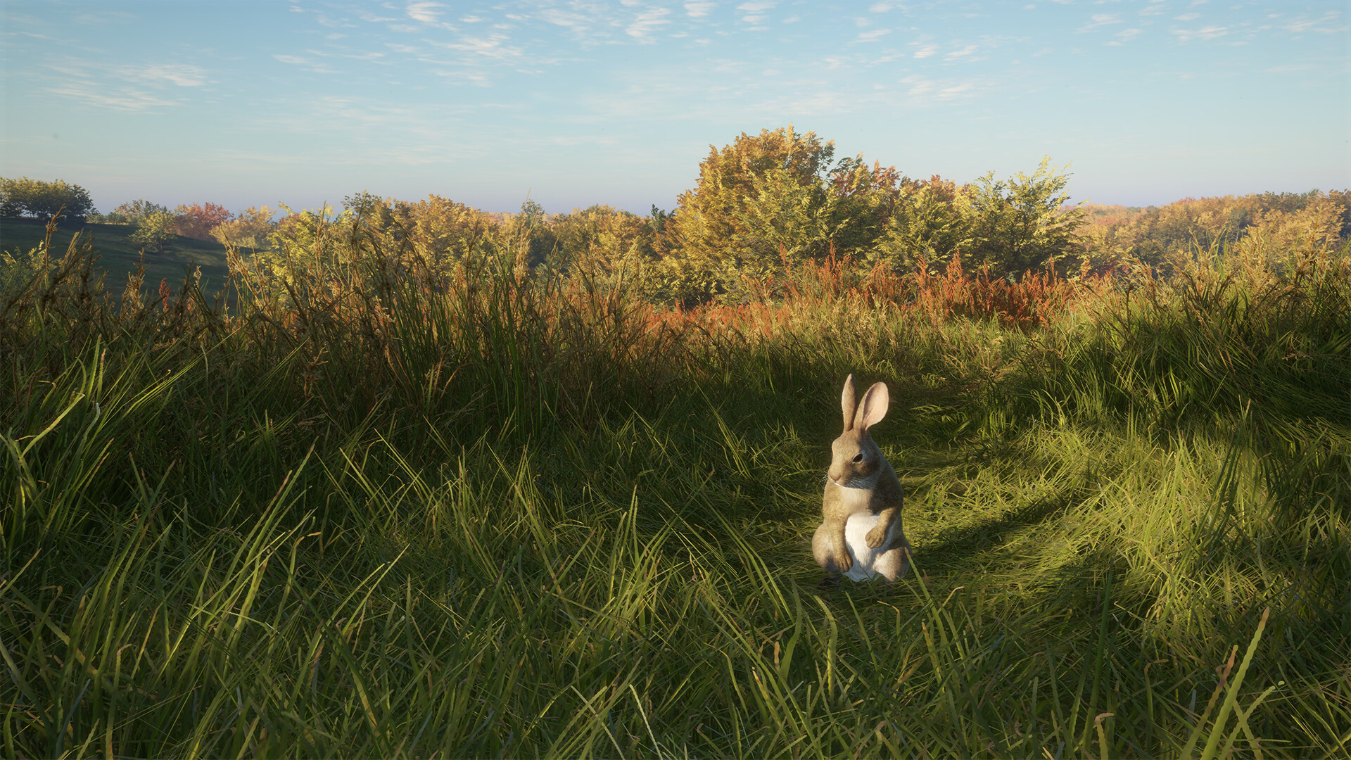 theHunter: Call of the Wild - Salzwiesen Park DLC EU PC Steam CD Key