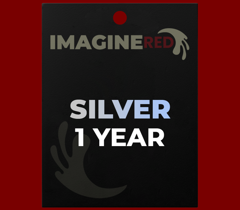 

IMAGINE RED Silver Plan 12 months