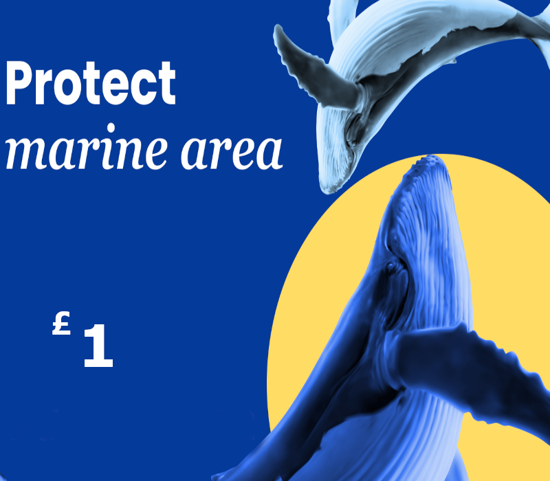 

Dots.eco - Protect Marine Area GBP 1 Gift Card UK