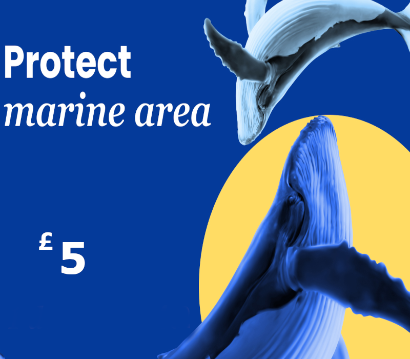 Dots.eco - Protect Marine Area GBP 5 Gift Card