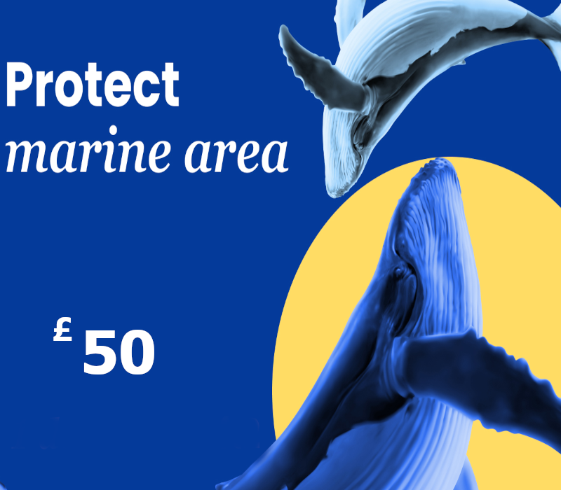 

Dots.eco - Protect Marine Area GBP 50 Gift Card UK