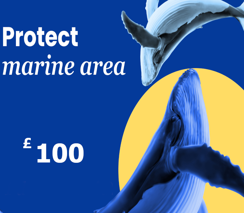 

Dots.eco - Protect Marine Area GBP 100 Gift Card UK