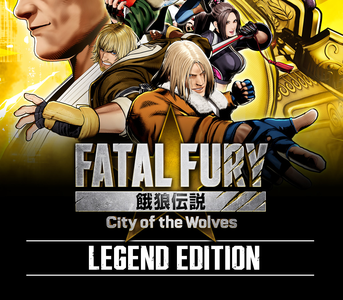 

FATAL FURY: City of the Wolves Legend Edition PC Steam Account