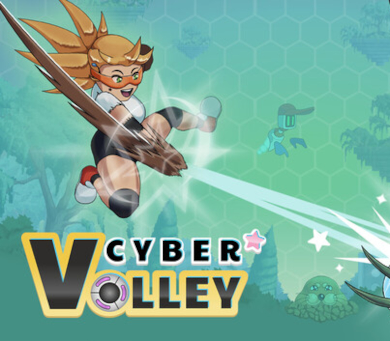 

Cyber Volley PC Steam CD Key