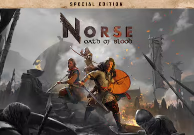 NORSE: Oath of Blood Special Edition EU PC Steam CD Key