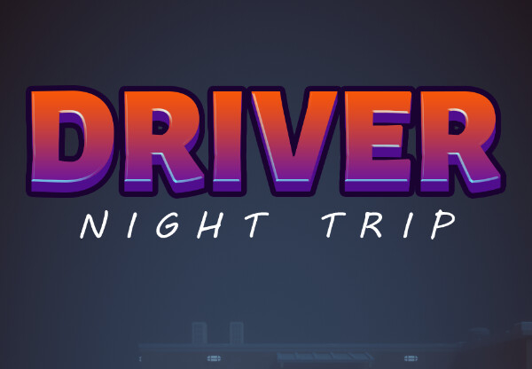Driver Night Trip PC Steam CD Key screenshot 1