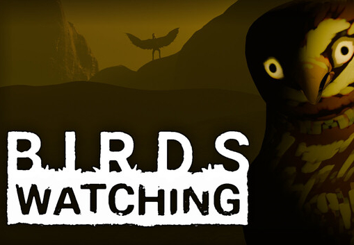 Birds Watching PC Steam CD Key screenshot 2