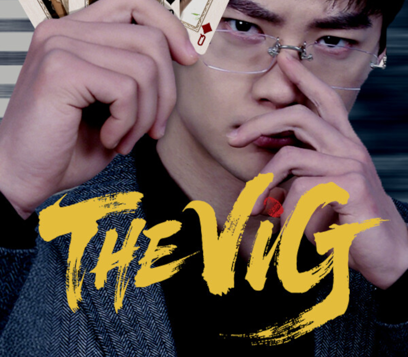 

THE VIG PC Steam CD Key