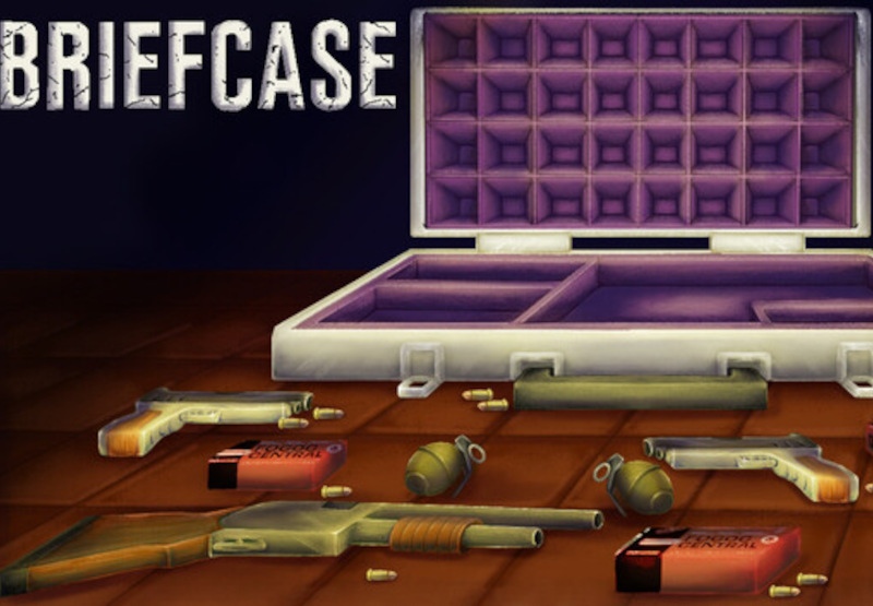Briefcase PC Steam CD Key screenshot 1