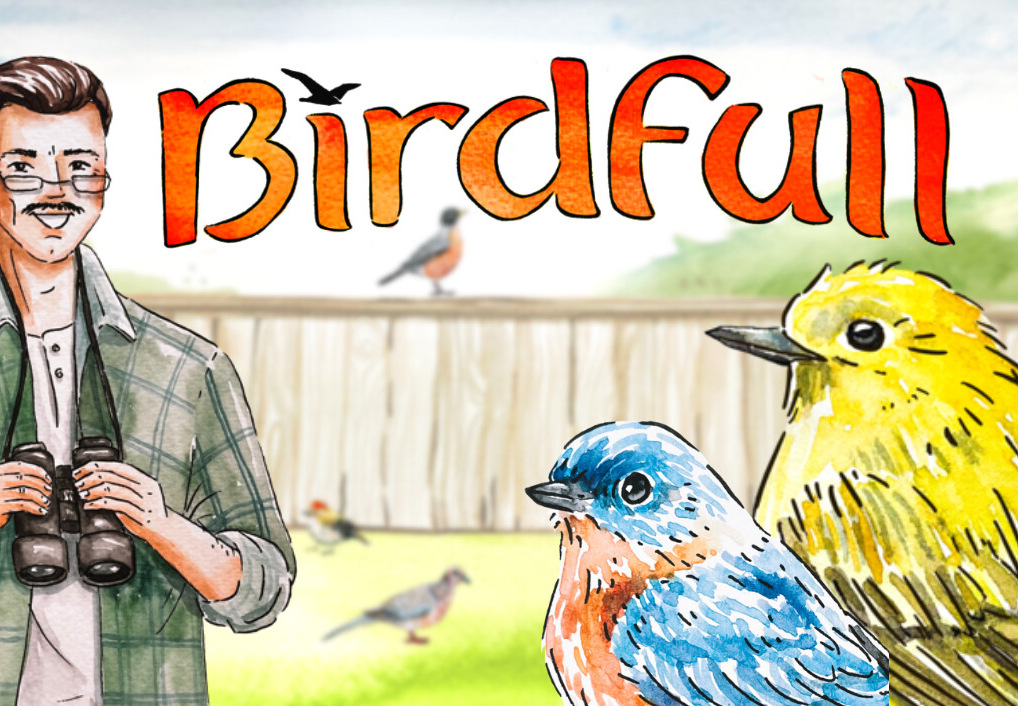 Birdfull PC Steam CD Key screenshot 2