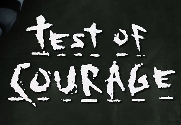 Test Of Courage PC Steam CD Key screenshot 1