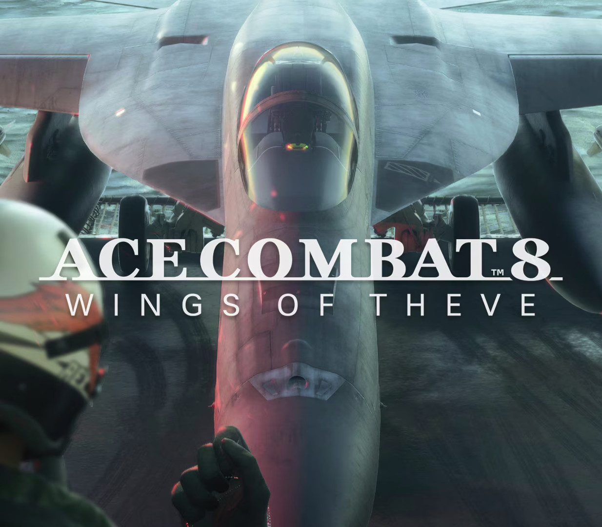 ACE COMBAT 8: WINGS OF THEVE + Bonus DLC PC Steam CD Key
