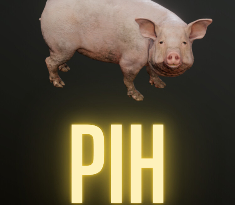 Pih PC Steam CD Key