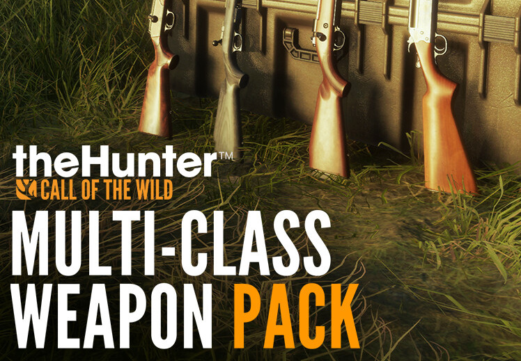 theHunter: Call of the Wild - Multi-Class Weapon Pack DLC PC Steam CD Key screenshot 1