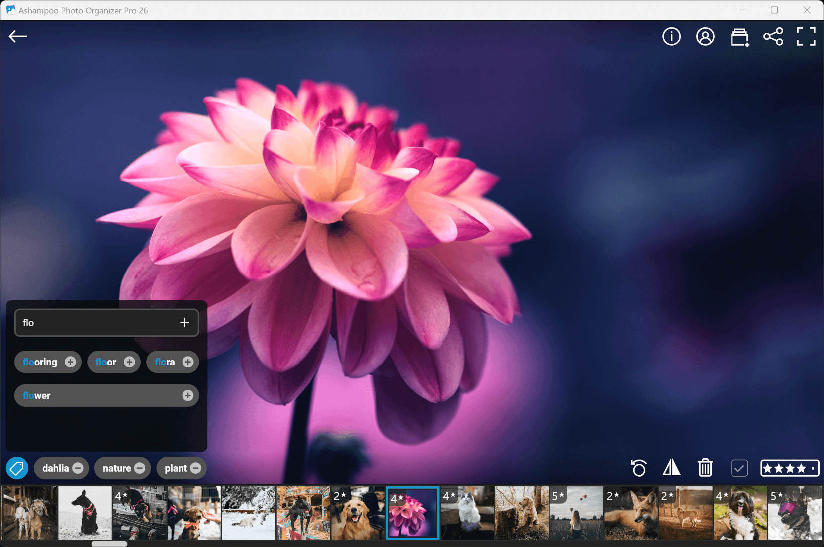 ashampoo-photo-organizer-pro-26 screenshot