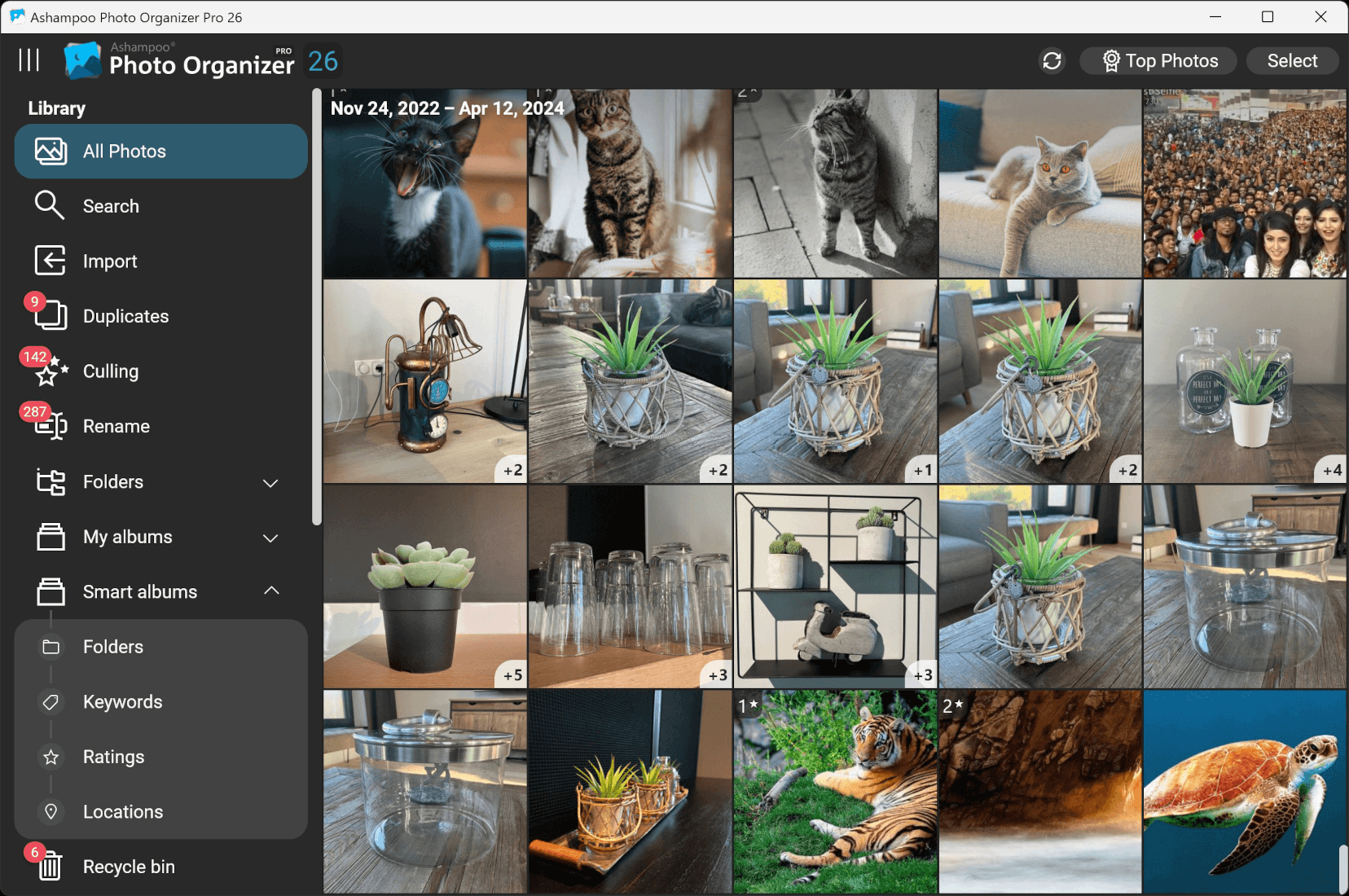 ashampoo-photo-organizer-pro-26 screenshot