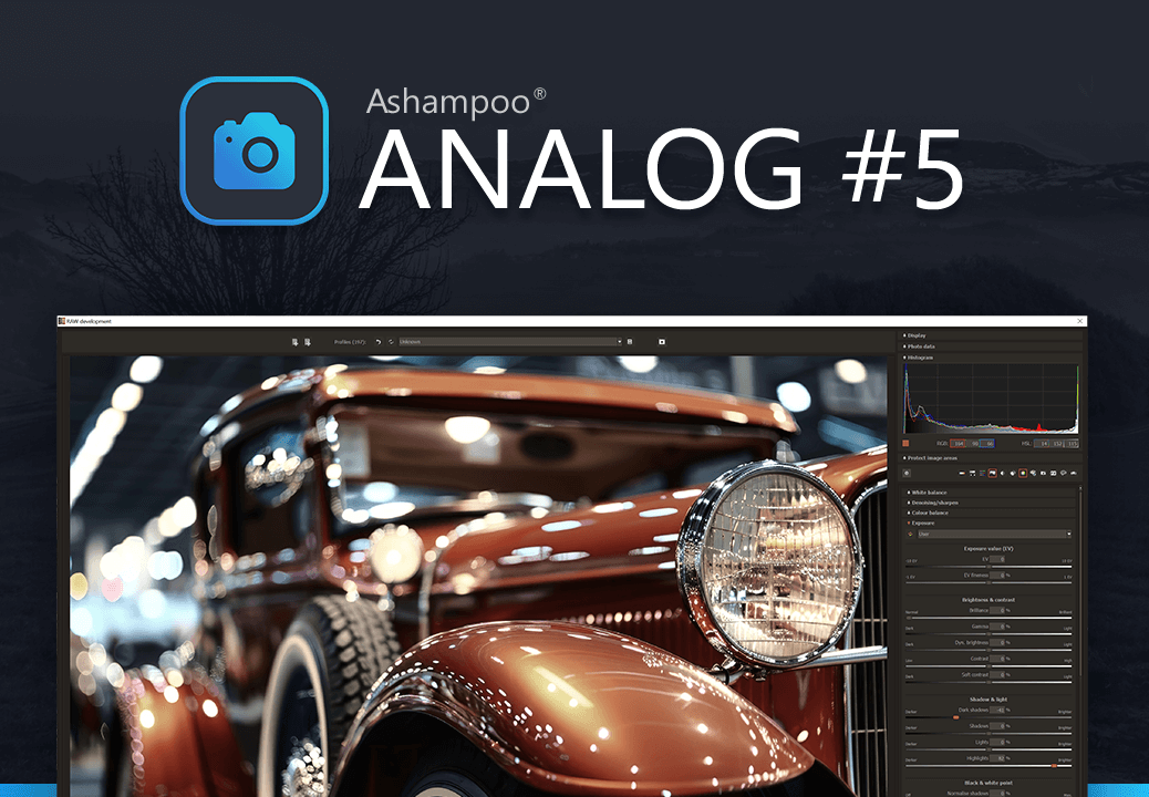 Ashampoo ANALOG #5 Key screenshot 1