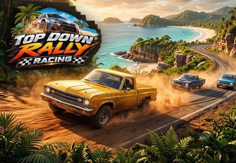 Top Down Rally Racing EU Nintendo Switch CD Key screenshot 2