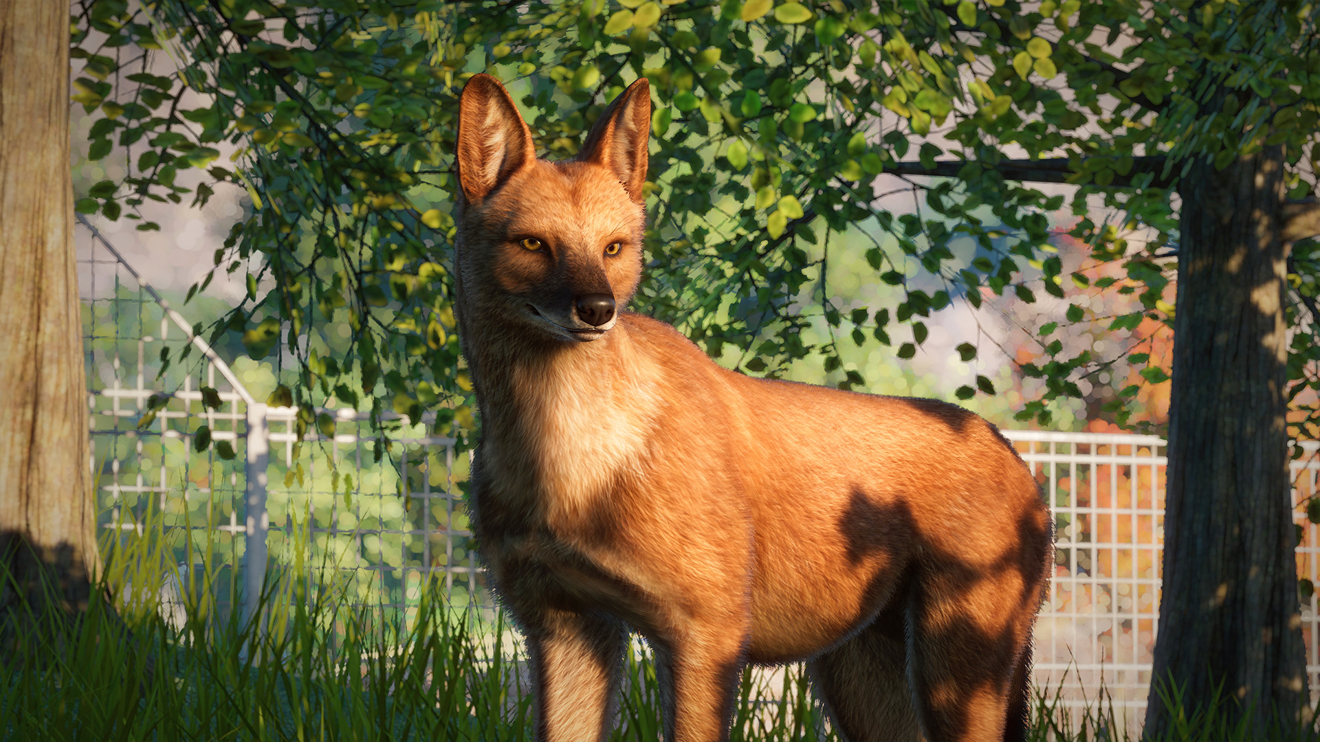 Planet Zoo - Southeast Asia Animal Pack DLC Steam Altergift