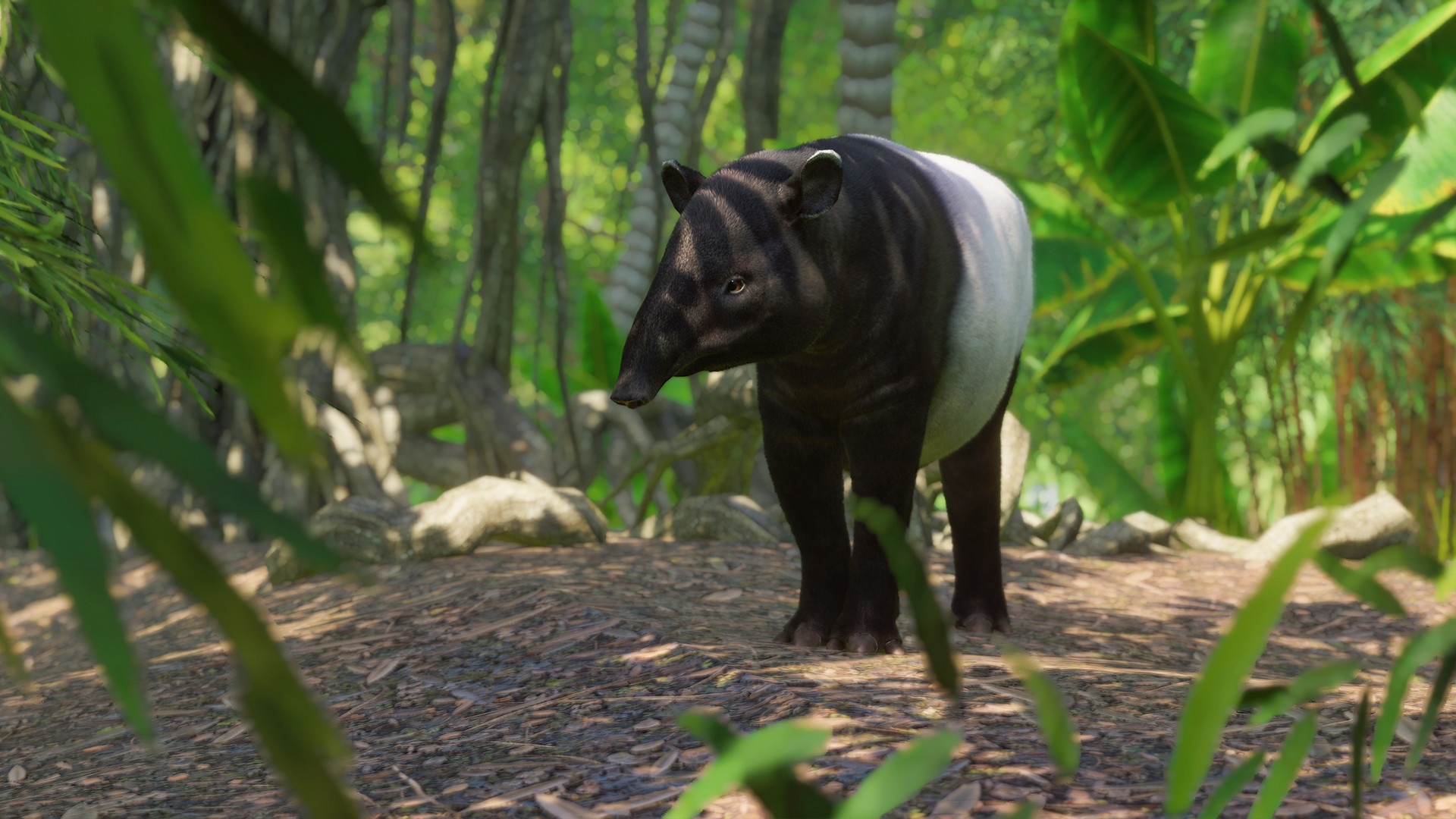 Planet Zoo - Southeast Asia Animal Pack DLC EU V2 Steam Altergift