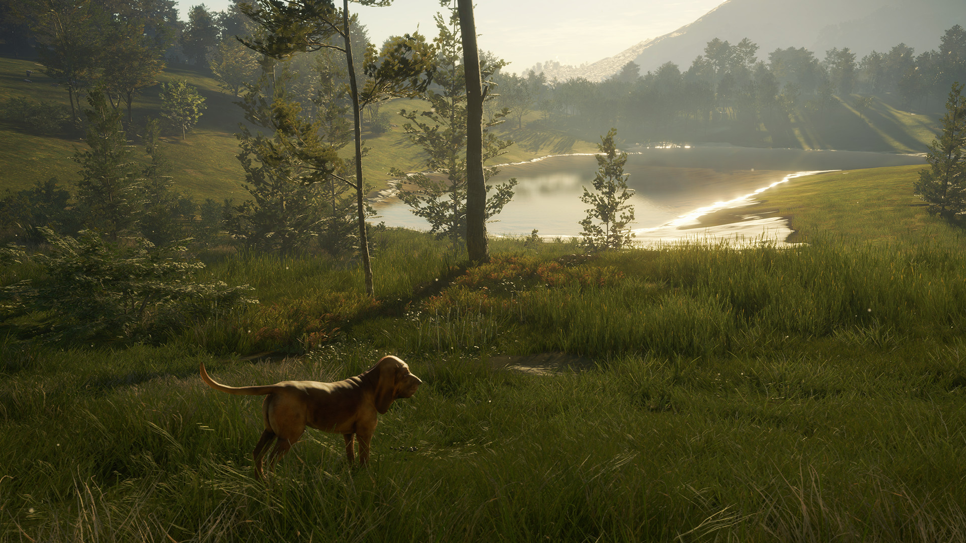 TheHunter: Call Of The Wild - Bloodhound DLC Steam Altergift