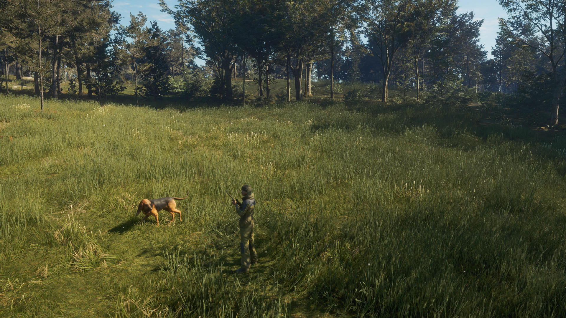 TheHunter: Call Of The Wild - Bloodhound DLC EU Steam Altergift