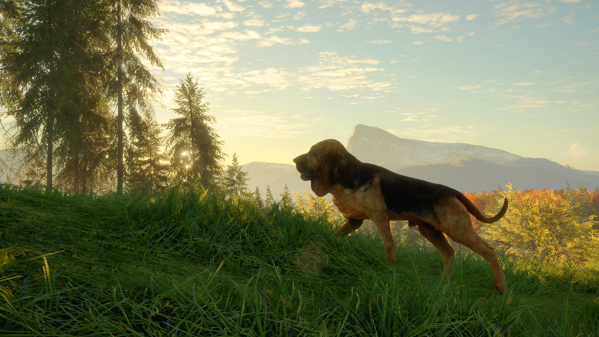 TheHunter: Call Of The Wild - Bloodhound DLC Steam CD Key