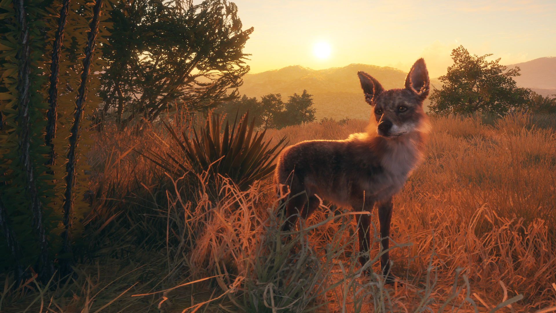 TheHunter: Call Of The Wild - Rancho Del Arroyo DLC Steam CD Key
