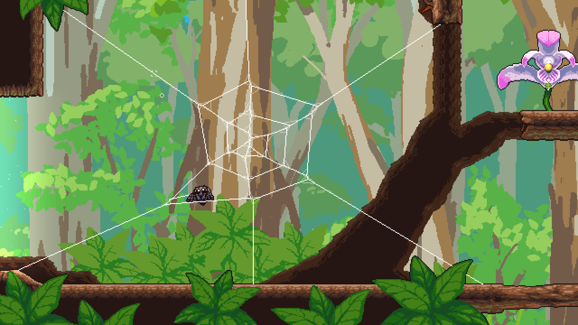 Пау игра паук. Webbed игра. Платформер про мальчика в лесу. Игра про паучка webbed. Webbed игра картинки.