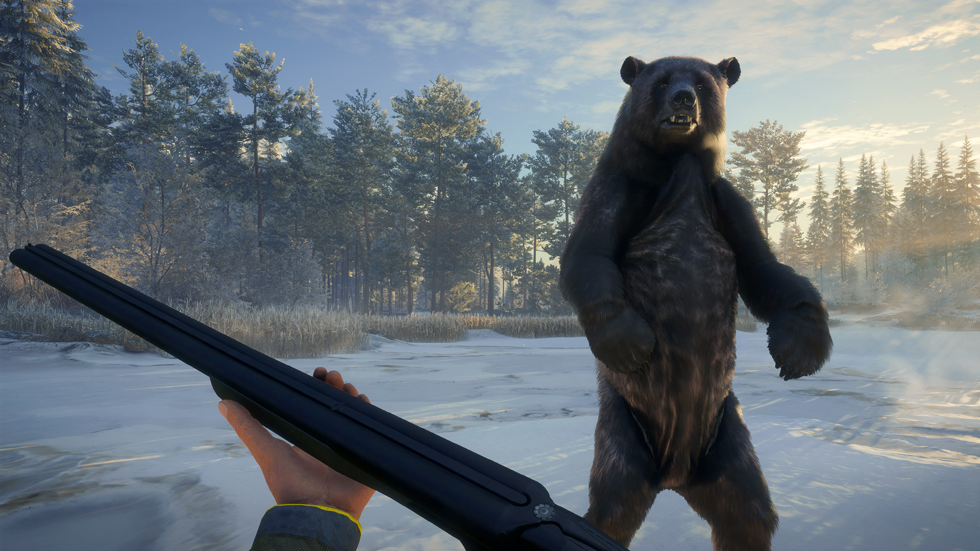 TheHunter: Call Of The Wild - Weapon Pack 2 DLC Steam CD Key