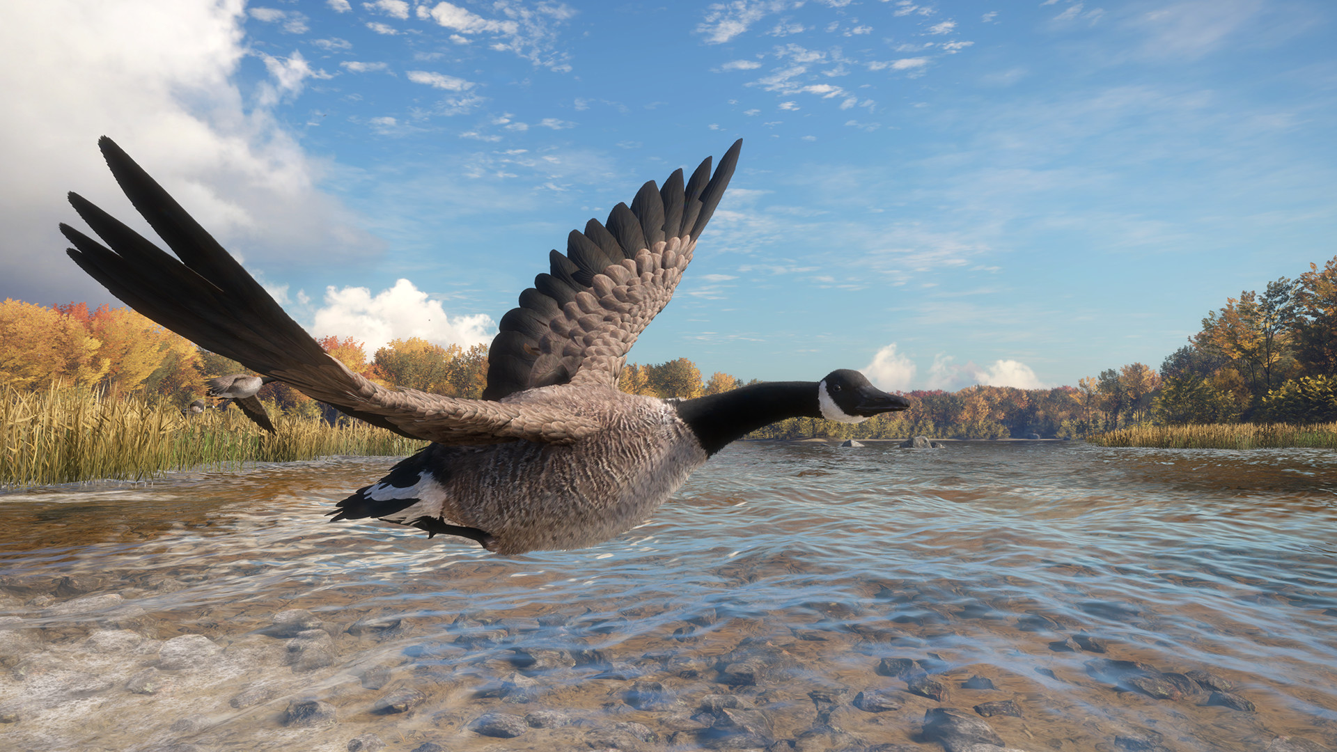 TheHunter: Call Of The Wild - Wild Goose Chase Gear DLC Steam CD Key