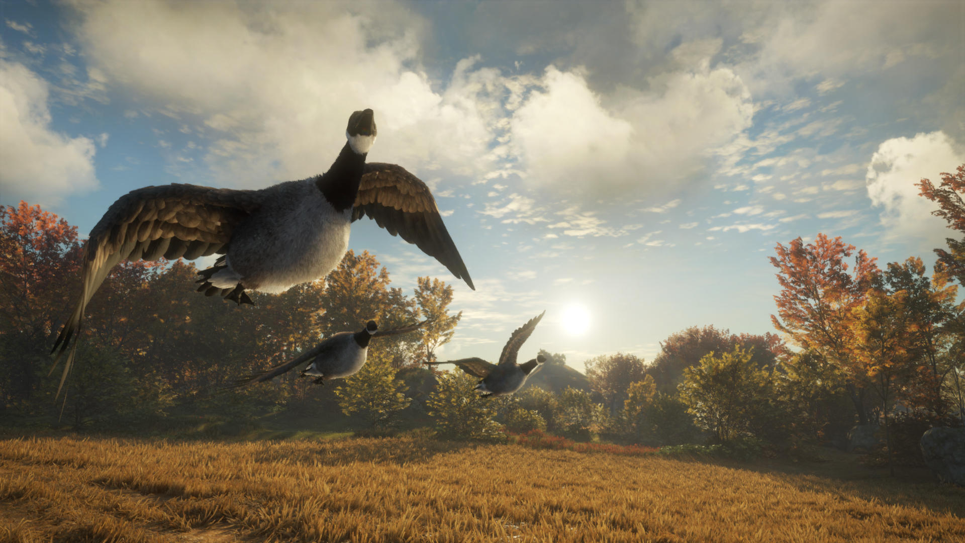 TheHunter: Call Of The Wild - Wild Goose Chase Gear DLC Steam CD Key