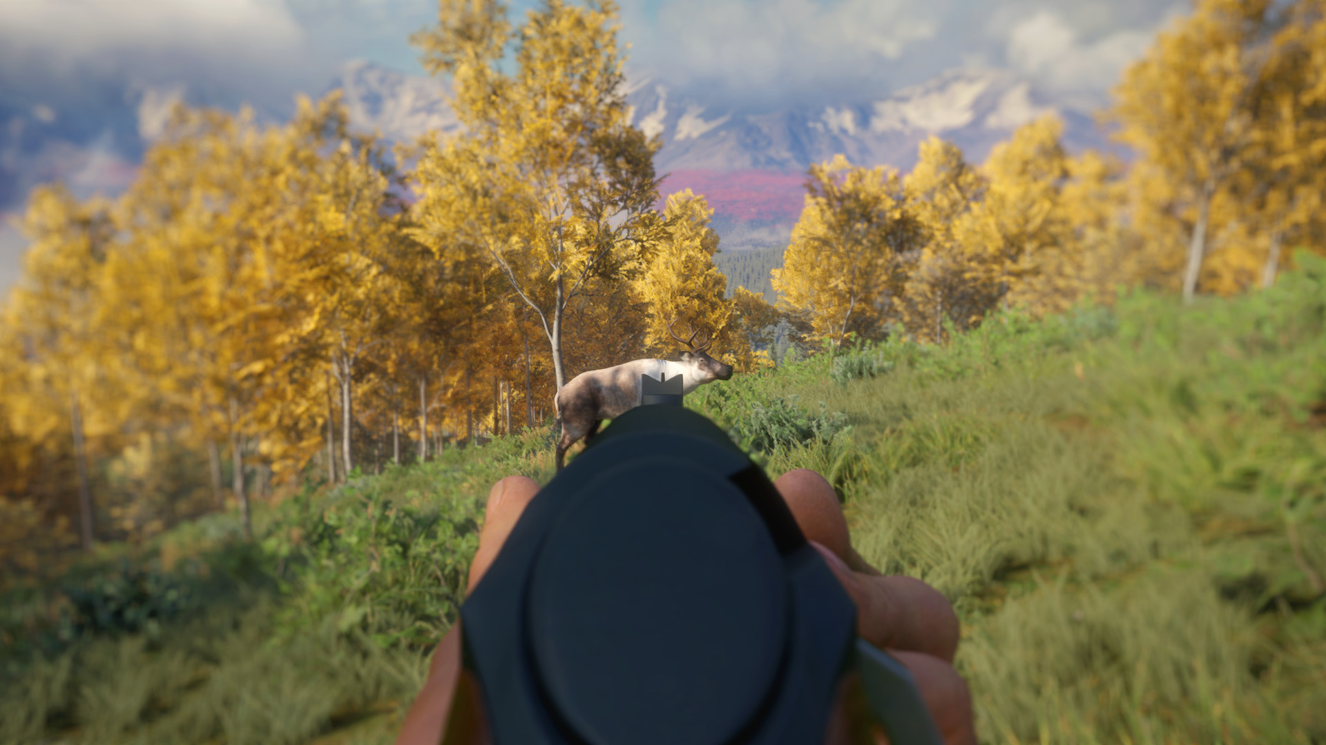TheHunter: Call Of The Wild - Weapon Pack 3 DLC Steam CD Key
