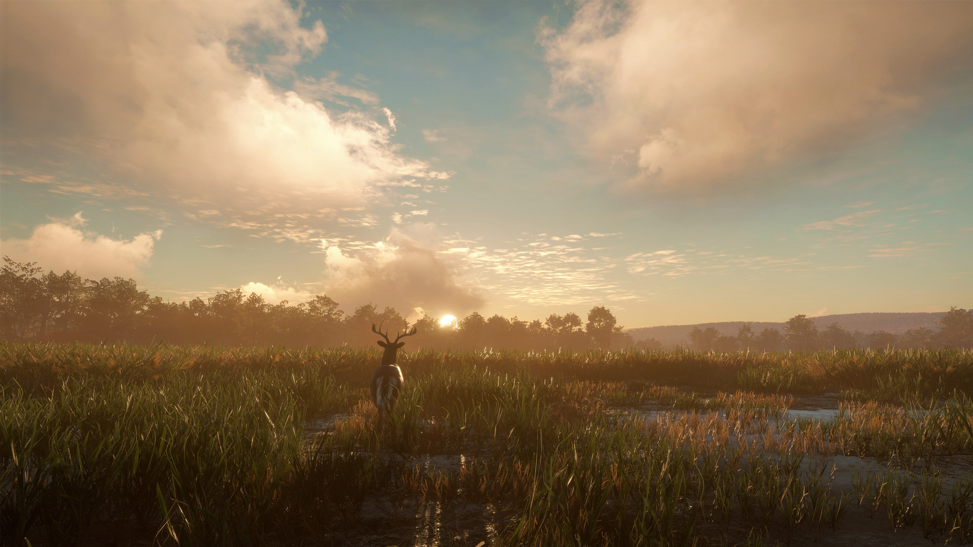 TheHunter: Call Of The Wild - Mississippi Acres Preserve DLC Steam Altergift