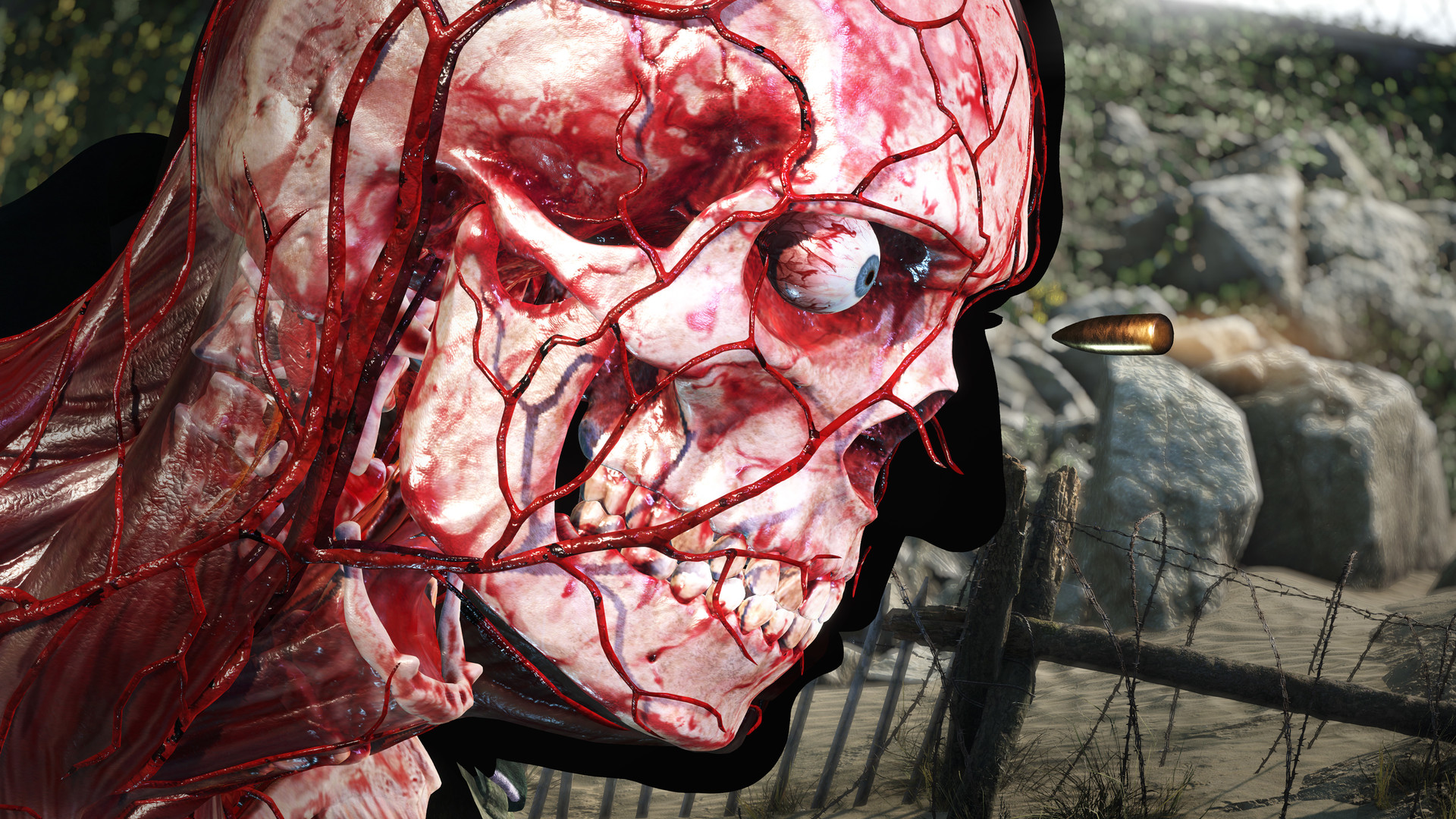 Sniper Elite 5 Deluxe Edition Steam Altergift